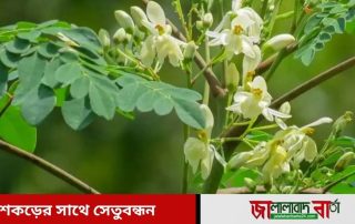 ছবি -সংগৃহীত