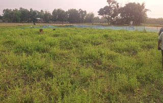 ছবি সংযুক্ত