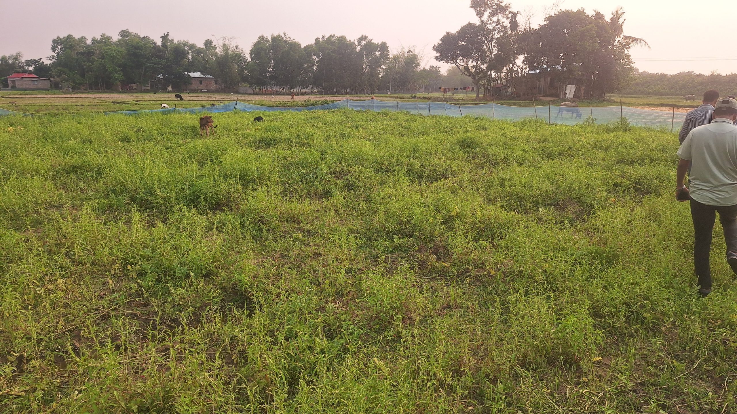 ছবি সংযুক্ত